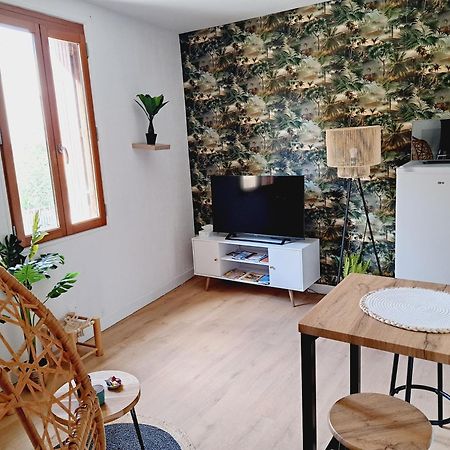 Le Jungle Appart, Centre Ville Narbona Exterior foto